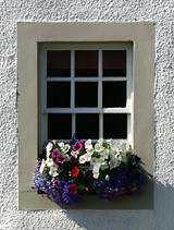 window window